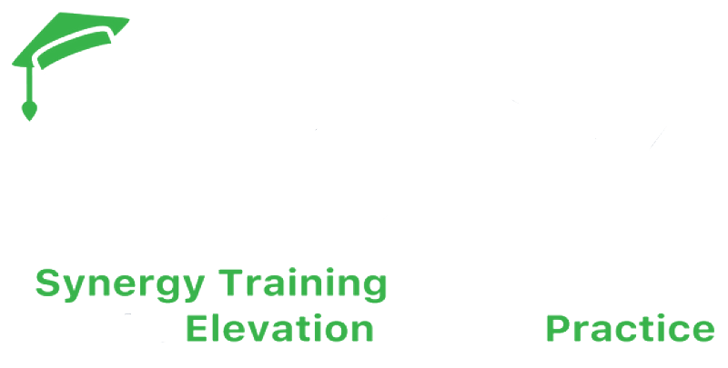 StepZ Synergy Training Icon